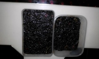 阿胶要放冰箱吗（阿胶要放冰箱吗?）