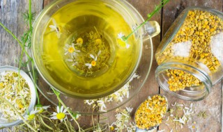 干菊花能放冰箱保存吗 干菊花能放冰箱保鲜冷藏吗