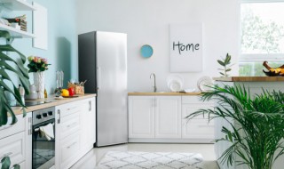 鸽子蛋要放冰箱吗（鸽子蛋放冰箱里能放多久）