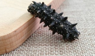 海参能放冰箱冷冻吗 新鲜海参可以直接放冰箱冷冻吗