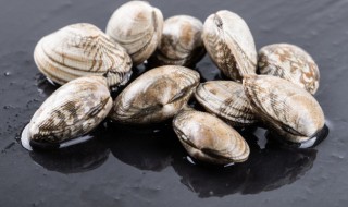 白贝能放冰箱吗 白贝怎样放冰箱储存