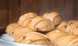 馒头要放冰箱吗（馒头需要放冰箱冷藏吗）