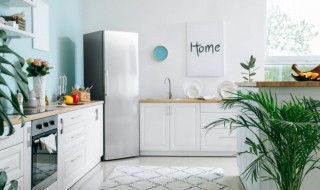 珍贵水可以放冰箱吗 珍贵水可以放冰箱吗