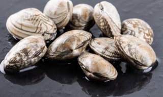 炒熟花甲可以放冰箱吗（煮熟花甲可以放冰箱冷藏吗）