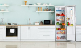 盘子可以放冰箱冷冻吗（陶瓷盘子可以放冰箱冷冻吗）