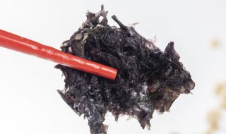 紫菜能放冰箱吗（紫菜能放冰箱吗夏天）