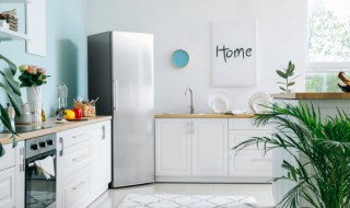 知了可以放冰箱冷冻吗 知了冻冰箱里放多久不能吃了