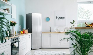 酵素要放冰箱吗 酵素要放冰箱吗?