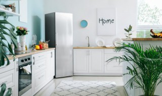 肯德基放冰箱还能吃吗（肯德基可以放冰箱吗）