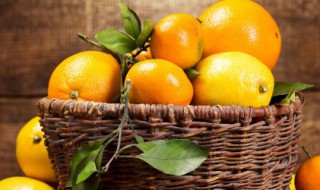 脐橙可以放冰箱保鲜吗 脐橙能否放冰箱