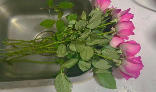 怎么醒花 买回家的鲜花怎么醒花
