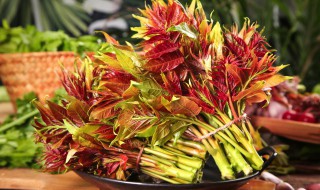 香椿放冰箱里可以吃吗（香椿放冰箱里可以吃吗）