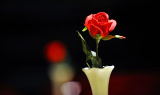 花草标本有效保存方法（花草标本有效保存方法有哪些）