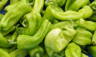 青辣椒可以放冰箱吗（青辣椒可以放冰箱吗冬天）