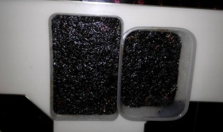 阿胶可以放冰箱冷冻吗（阿胶可以放冰箱里保鲜吗）