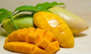 大芒果可以放冰箱吗（大芒果可以放冰箱吗冬天）