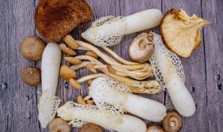 菇放冰箱几天了还能吃吗 新鲜的蘑菇放冰箱几天还可以吃吗