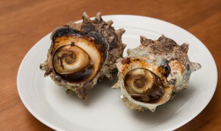 海螺能放冰箱冷冻吗 海螺能放冰箱冷冻吗多久