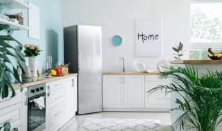 黄豆芽可以放冰箱吗（黄豆芽可以放冰箱吗 放冰箱能保存几天）