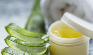 芦荟胶可以放冰箱里吗（芦荟胶能不能放在冰箱）