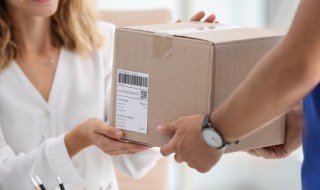 冰冻粽子邮寄可以吗（冰冻粽子邮寄可以吗安全吗）