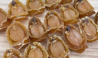 干鲍鱼煮多久才能用（干鲍鱼煮多久才能用开水）