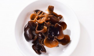 木耳要煮多久才能用来凉拌 木耳要煮多久才能用来凉拌吃