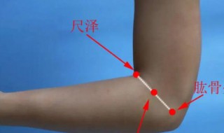 手肘是哪个部位 手肘是哪个部位图片