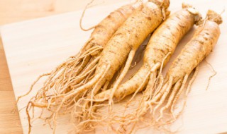 人参如何辨别好坏 人参如何辨别好坏图片
