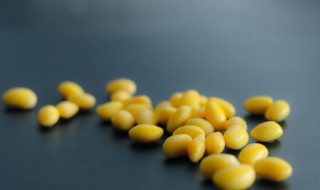 黄豆泡多久才能用高压锅煮（高压锅煮黄豆需要泡吗）