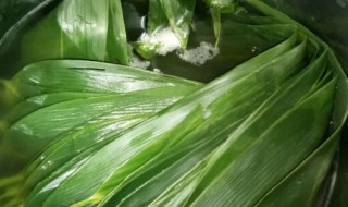 买回来的粽叶要煮多久才能用（新买的粽叶煮多久）