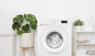 洗衣机内网怎么拆（洗衣机内网怎么拆开）