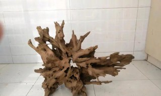 沉木煮完泡多久才能用那（沉木煮完泡多久才能用那种木头）