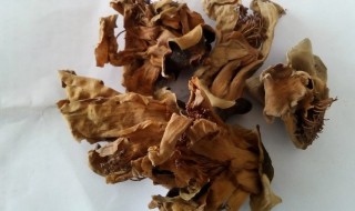 干木棉花清洗方法（干木棉花清洗方法图片）