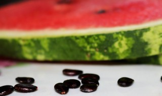 西瓜籽泡多长时间 西瓜籽泡多长时间出牙