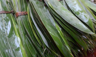 煮粽子叶子放什么（煮粽子叶子放什么好）