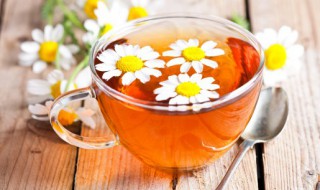 菊花茶能泡多长时间（菊花茶能泡多长时间）