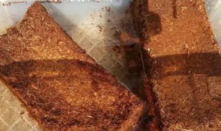 椰砖泡多长时间（椰砖泡多长时间可以喝）