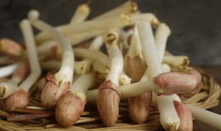 花生生芽泡多长时间 花生生芽泡多长时间可以吃