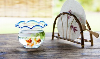 高锰酸钾泡鱼多长时间 高锰酸钾泡鱼多长时间泡一次