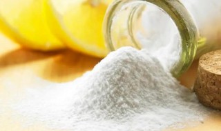 苏打粉和小苏打有什么区别 苏打粉和小苏打有什么区别?