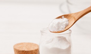 没小苏打可用什么代替 没小苏打可用什么代替呢