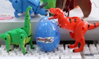 玩具恐龙蛋泡多长时间 玩具恐龙蛋用水泡多久