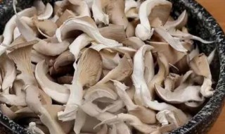 干菌子的清洗方法（菌子要怎么洗才干净呢）