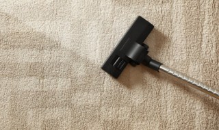 地毯清洗方法后怎么干（地毯清洗方法后怎么干的快）