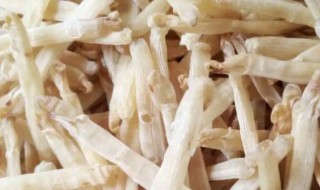 清洗干沙虫的方法（沙虫干的清洗方法图解）