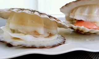 干扇贝清洗方法 扇贝怎么清洗