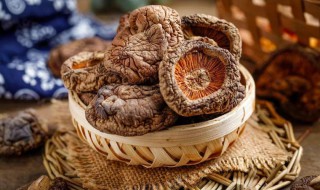 干蘑菇泡多长时间 野生干蘑菇泡多长时间