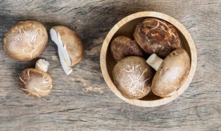 干香菇需要泡多长时间（干香菇需要泡多长时间合适）