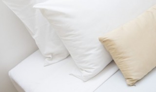 决明子枕头脏了怎么洗 决明子枕头脏了怎么办